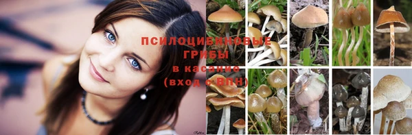 мяу мяу кристалл Беломорск