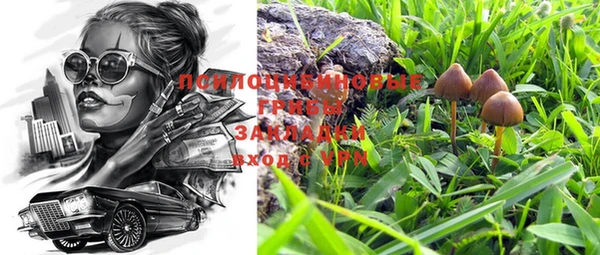 дживик Баксан
