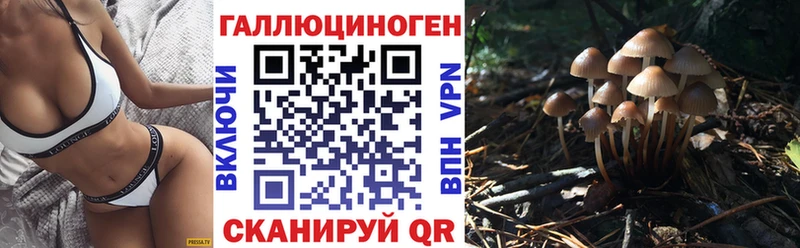 Купить закладки Сусуман Псилоцибиновые грибы прущие грибы